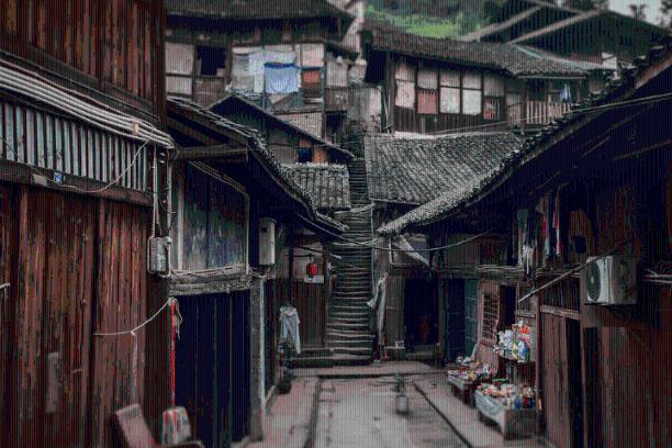 胖小猫救援